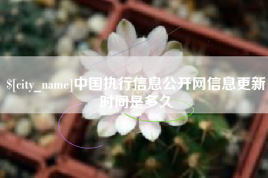 梧州中国执行信息公开网信息更新时间是多久