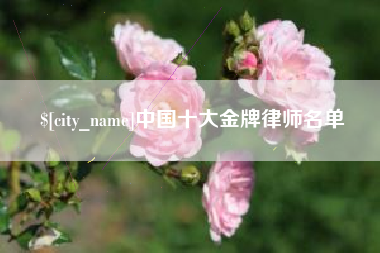 梧州中国十大金牌律师名单