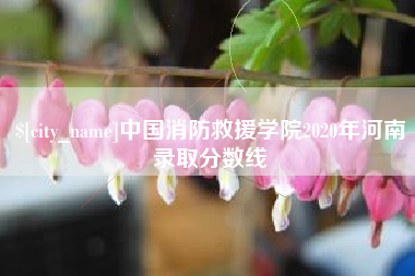 梧州中国消防救援学院2020年河南录取分数线