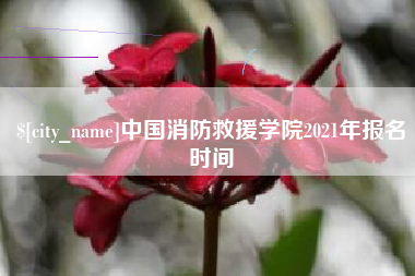 梧州中国消防救援学院2021年报名时间