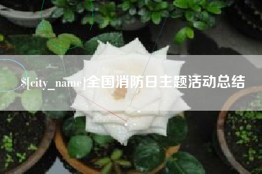 梧州全国消防日主题活动总结