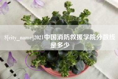 梧州2021中国消防救援学院分数线是多少