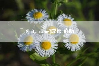 梧州成都 消防