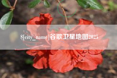 梧州谷歌卫星地图2025