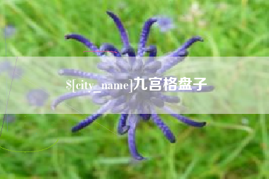 梧州九宫格盘子