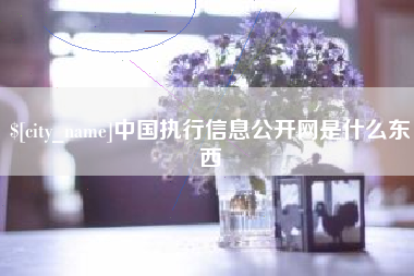梧州中国执行信息公开网是什么东西