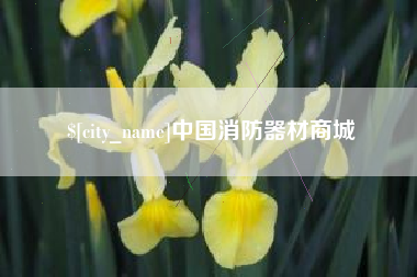 梧州中国消防器材商城