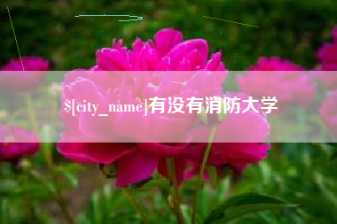 梧州有没有消防大学
