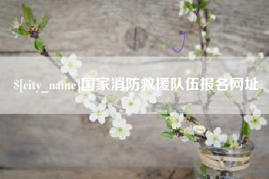 梧州国家消防救援队伍报名网址