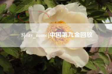 梧州中国第九金回放