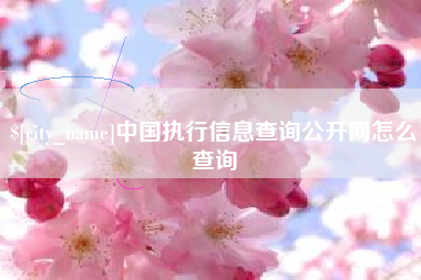 梧州中国执行信息查询公开网怎么查询