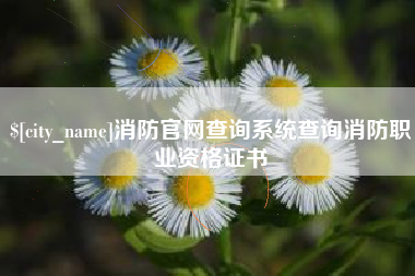 梧州消防官网查询系统查询消防职业资格证书