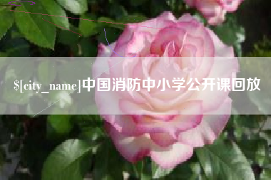 梧州中国消防中小学公开课回放