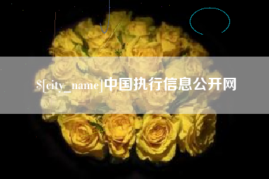 梧州中国执行信息公开网