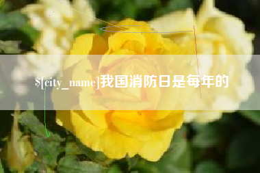 梧州我国消防日是每年的