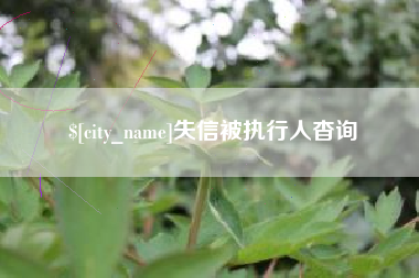 梧州失信被执行人杳询