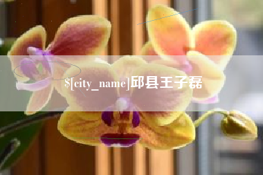 梧州邱县王子磊