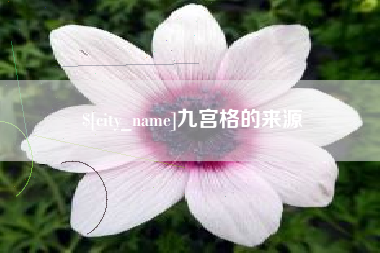 梧州九宫格的来源