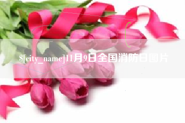 梧州11月9日全国消防日图片