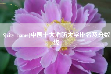 梧州中国十大消防大学排名及分数线