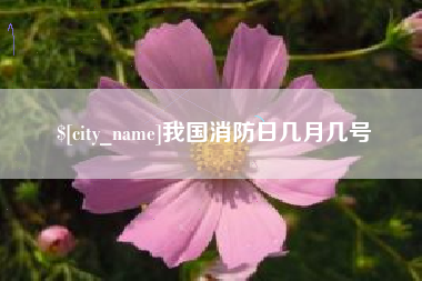 梧州我国消防日几月几号