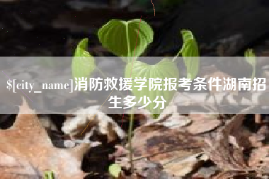 梧州消防救援学院报考条件湖南招生多少分