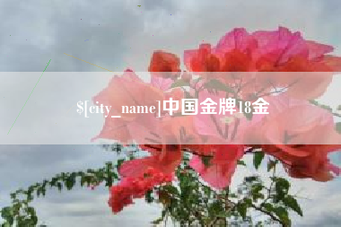 梧州中国金牌18金