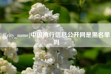 梧州中国执行信息公开网是黑名单吗
