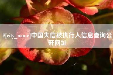 梧州中国失信被执行人信息查询公开网址
