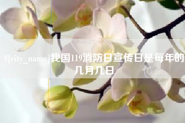 梧州我国119消防日宣传日是每年的几月几日