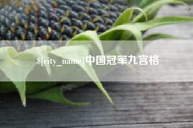 梧州中国冠军九宫格
