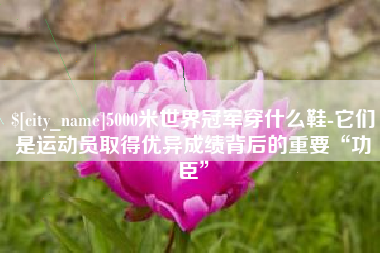 梧州5000米世界冠军穿什么鞋-它们是运动员取得优异成绩背后的重要“功臣”
