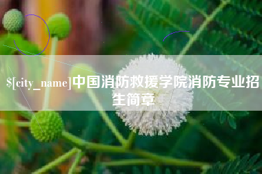 梧州中国消防救援学院消防专业招生简章