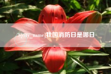 梧州我国消防日是哪日