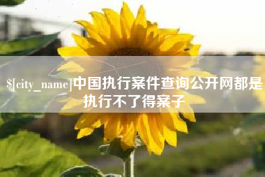 梧州中国执行案件查询公开网都是执行不了得案子