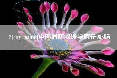 梧州中国消防救援学院是985吗