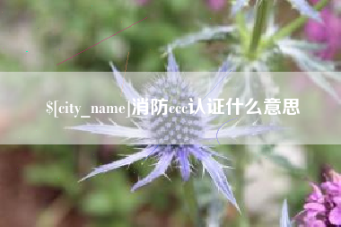 梧州消防ccc认证什么意思