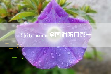 梧州全国消防日哪一