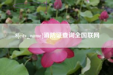 梧州消防证查询全国联网