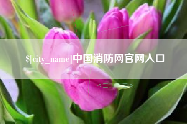 梧州中国消防网官网入口