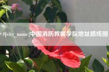 梧州中国消防救援学院地址路线图
