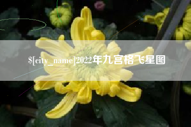 梧州2022年九宫格飞星图