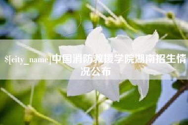 梧州中国消防救援学院湖南招生情况公布