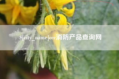 梧州ccc消防产品查询网