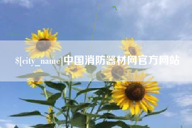 梧州中国消防器材网官方网站