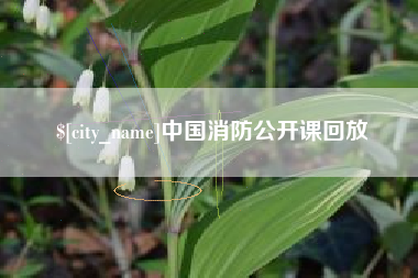 梧州中国消防公开课回放