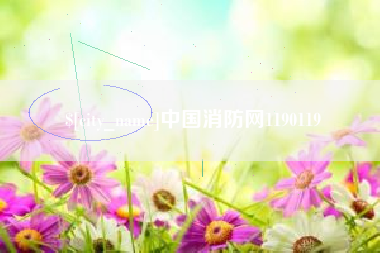 梧州中国消防网1190119