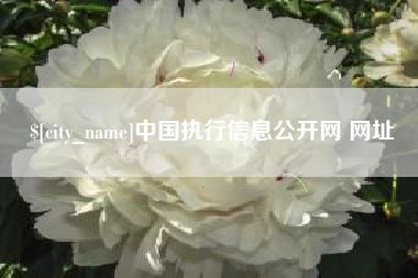 梧州中国执行信息公开网 网址