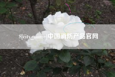 梧州中国消防产品官网
