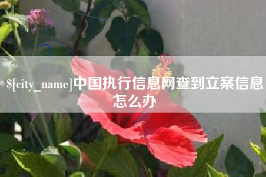 梧州中国执行信息网查到立案信息怎么办